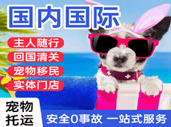 拉萨贡嘎航空运输国际宠物托运 【国